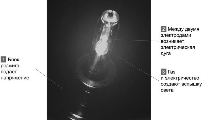 Внутри ксеноновых ламп — два электрода и газ ксенон. Между электродами проходит дуга, газ помогает ей ярко светиться